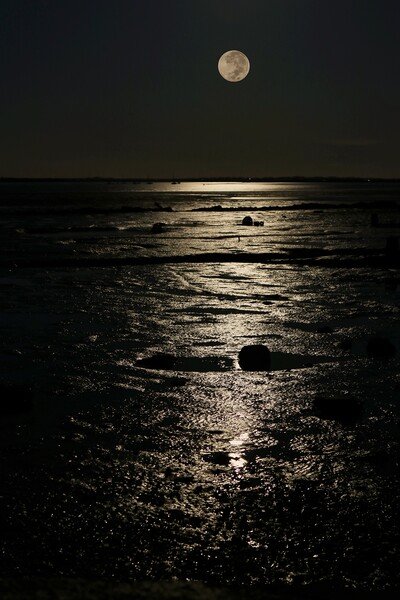 Full moon down over the Brightlingsea Creek  Picture Board by Tony lopez
