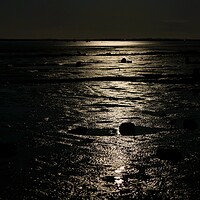Buy canvas prints of Full moon down over the Brightlingsea Creek  by Tony lopez