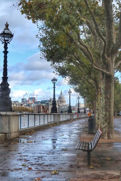 South banks views of St Paul's Cathedral in London.  Picture Board by Tony lopez