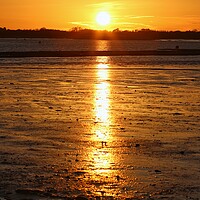 Buy canvas prints of Sun setting across the Brightlingsea Creek  by Tony lopez