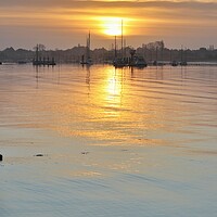 Buy canvas prints of Sunrise colours over the Brightlingsea moorings  by Tony lopez
