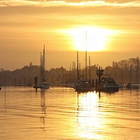 Buy canvas prints of Sun rising over the Brightlingsea moorings  by Tony lopez