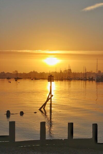 Sunrise over Brightlingsea Harbour  Picture Board by Tony lopez