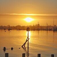 Buy canvas prints of Sunrise over Brightlingsea Harbour  by Tony lopez