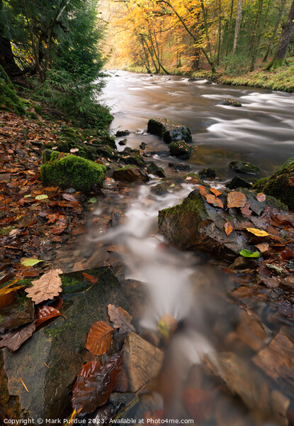 Autumn River Scene Picture Board by Mark Purdue