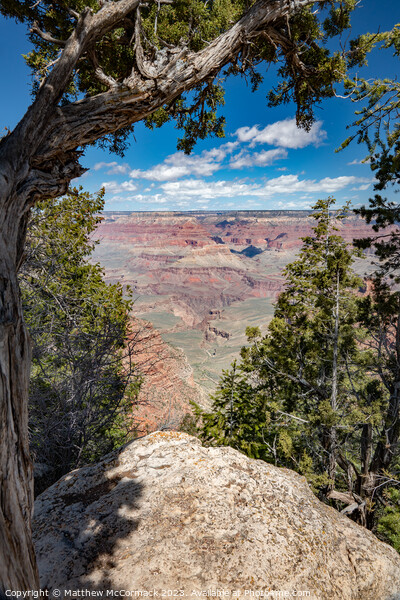 A View of the Grand Canyon Picture Board by Matthew McCormack