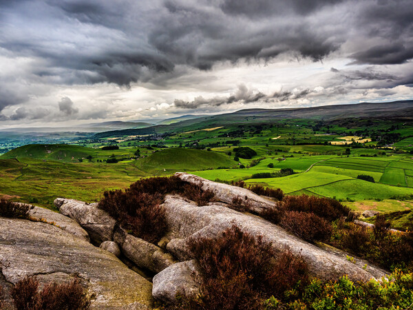 Yorkshire Dales from Barden Moor Picture Board by James Elkington