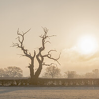 Buy canvas prints of Frosty morning in Wiltshire by Kevin Howchin