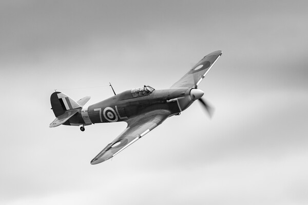 Hawker Sea Hurricane Picture Board by Kevin Howchin