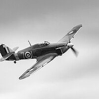 Buy canvas prints of Hawker Sea Hurricane by Kevin Howchin