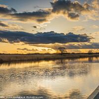 Buy canvas prints of River Bure sunset by Derek Griffin