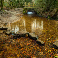 Buy canvas prints of The Mill Brook by Derek Griffin