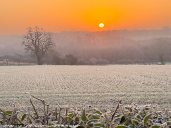 Enchanting Frozen Sunrise Picture Board by Ian Donaldson