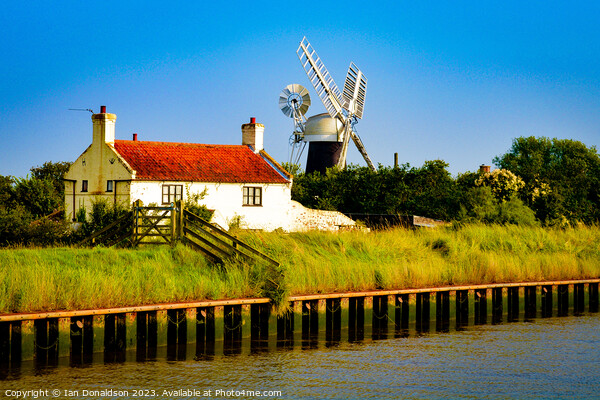 Windmill by the Broads Picture Board by Ian Donaldson