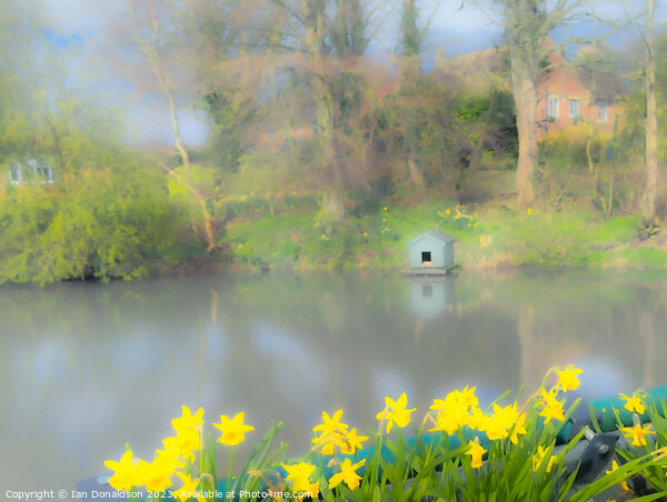 Spring at the Duckpond Picture Board by Ian Donaldson