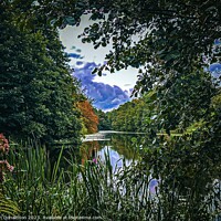 Buy canvas prints of Lake in the Forest by Ian Donaldson