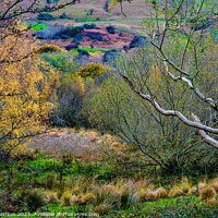 Buy canvas prints of Autumn in Snowdonia by Ian Donaldson
