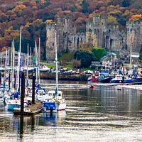 Buy canvas prints of Conwy Castle by Ian Donaldson