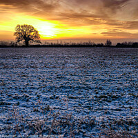 Buy canvas prints of Winter Sunrise by Ian Donaldson