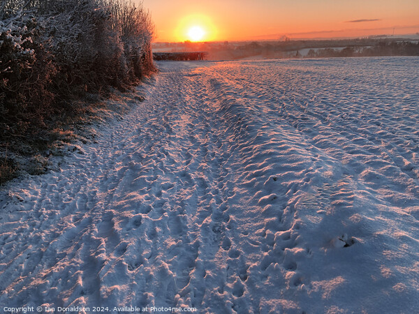 Snowy Sunrise Picture Board by Ian Donaldson