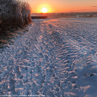 Buy canvas prints of Snowy Sunrise by Ian Donaldson