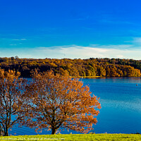 Buy canvas prints of Autumn View by Ian Donaldson