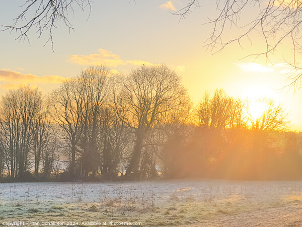 Winter Sun Picture Board by Ian Donaldson