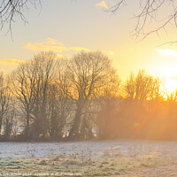 Buy canvas prints of Winter Sun by Ian Donaldson