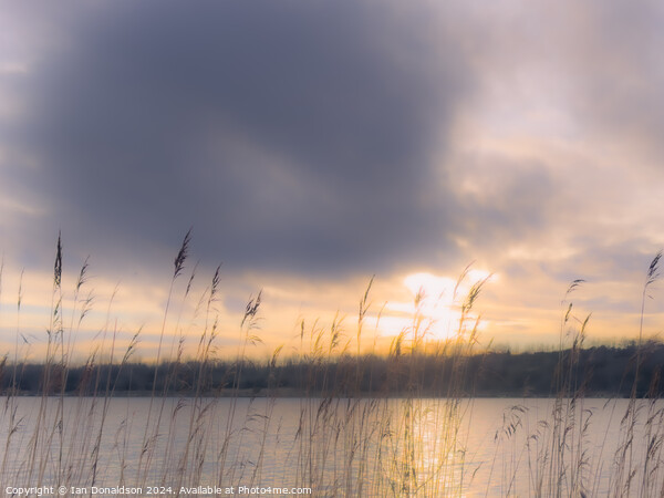 Winter Sun over a Leicestershire Lake Picture Board by Ian Donaldson