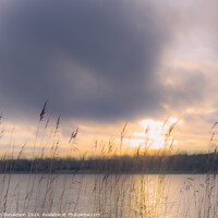 Buy canvas prints of Winter Sun over a Leicestershire Lake by Ian Donaldson