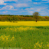 Buy canvas prints of The Joy of Spring by Ian Donaldson