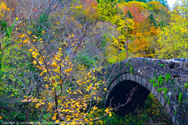 Autumn Bridge Picture Board by Ian Donaldson