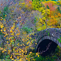 Buy canvas prints of Autumn Bridge by Ian Donaldson
