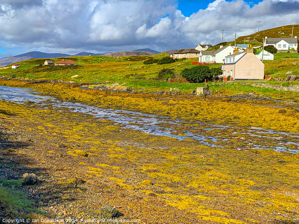 Isle of  Scalpay  Picture Board by Ian Donaldson