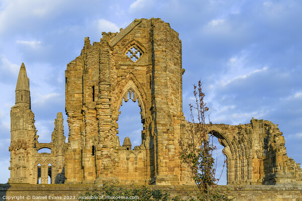 Whitby Abbey Ruins Picture Board by Darrell Evans