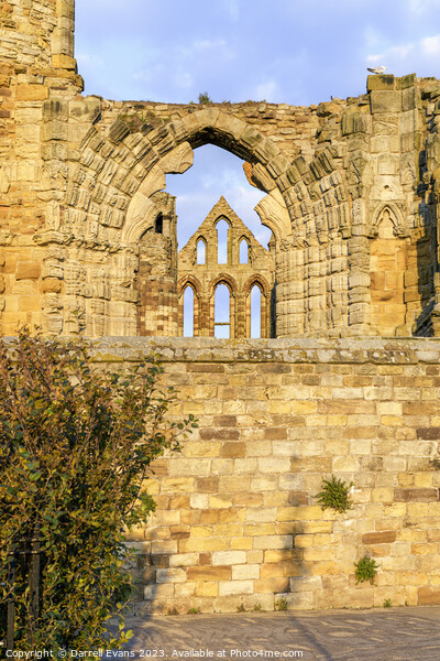 Whitby Abbey Wall Picture Board by Darrell Evans