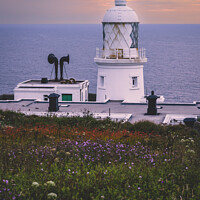 Buy canvas prints of Lighthouse and Flowers by Darrell Evans