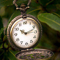 Buy canvas prints of Pocket Watch by Darrell Evans