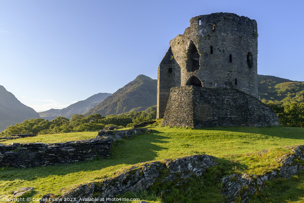 Castle at Dolbadarn Picture Board by Darrell Evans