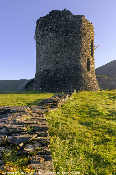 Dolbadarn Castle Tower Picture Board by Darrell Evans