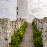 Buy canvas prints of Path to Tŵr Mawr lighthouse by Darrell Evans