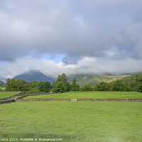 Buy canvas prints of Morning in Borrowdale by Darrell Evans