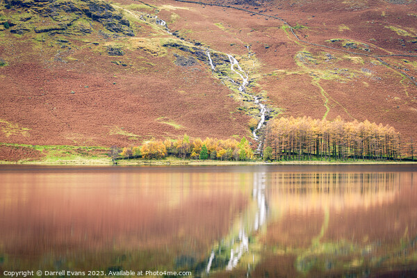 Autumn on Buttermere Picture Board by Darrell Evans