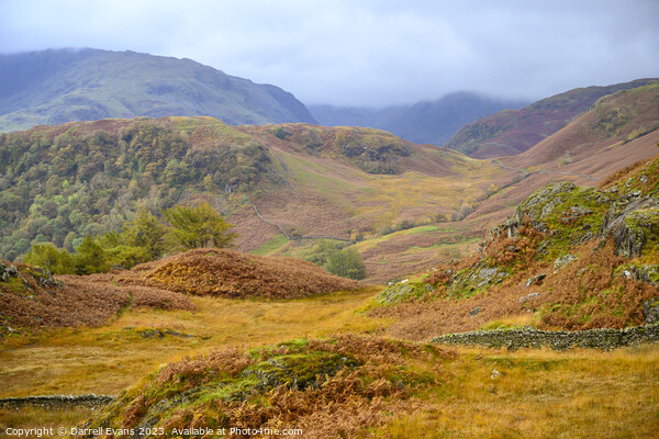 Cumbrian Fells in Autumn Picture Board by Darrell Evans