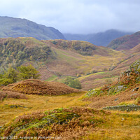 Buy canvas prints of Cumbrian Fells in Autumn by Darrell Evans