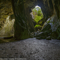 Buy canvas prints of Cathedral Cave Column by Darrell Evans