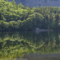 Buy canvas prints of Boathouse at Crummock Water by Darrell Evans