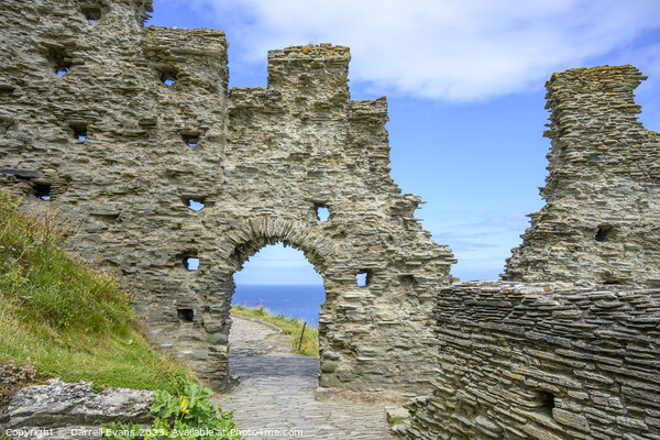 Tintagel Castle Picture Board by Darrell Evans