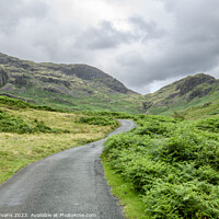 Buy canvas prints of Hardknott Pass by Darrell Evans