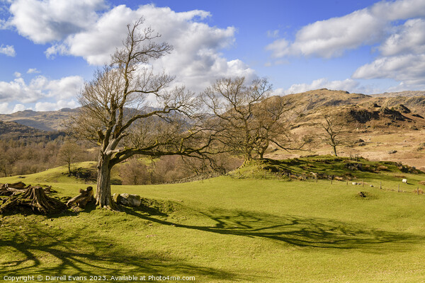 Little Langdale Farmland Picture Board by Darrell Evans